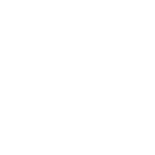 Plan Chispa - Digitalización inicial